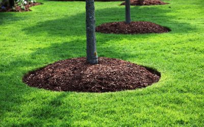 Mulching Landscaping, Landscaping Company, Landscaping Contractor, Landscaping Company